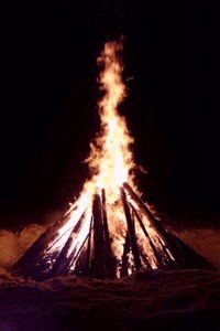 Обложка книги Семеро смелых