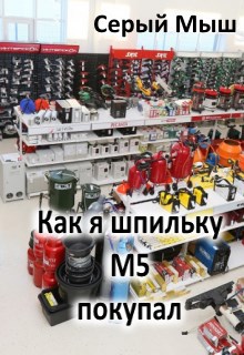 Обложка книги Как я шпильку М5 покупал