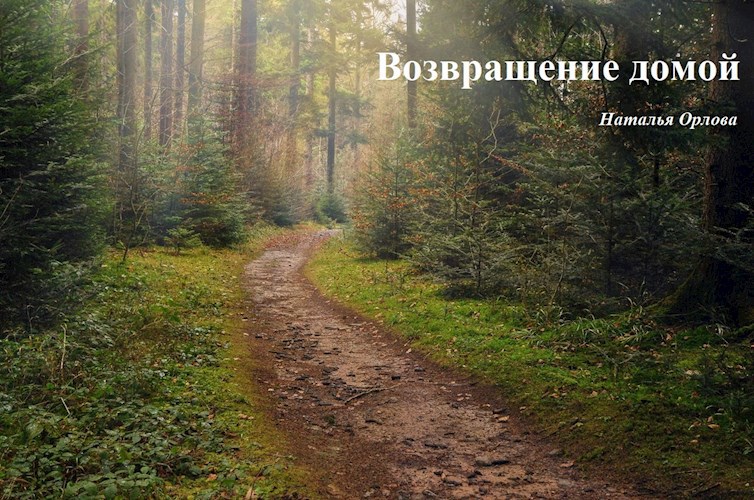 Обложка книги Возвращение домой.
