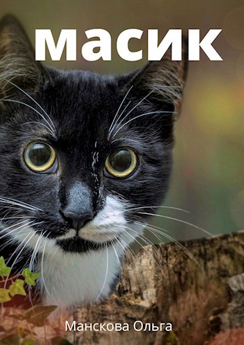 Обложка книги Масик