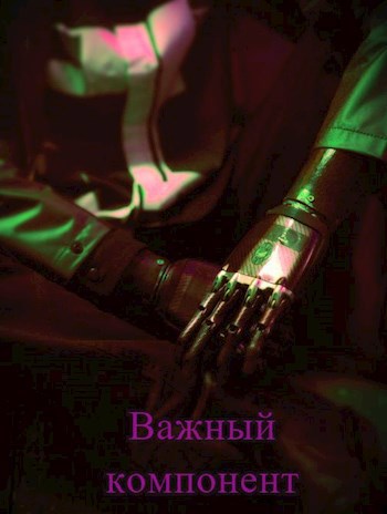 Обложка книги Важный компонент