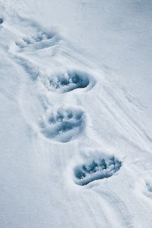 Обложка книги Если тебе недостаточно грустно