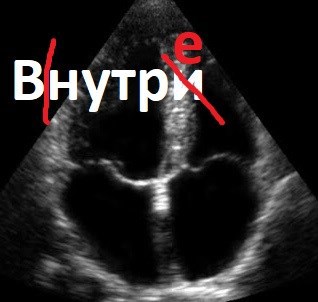 Обложка книги Внутри