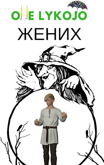 Обложка книги Жених