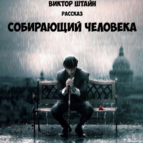 Обложка книги Собирающий человека