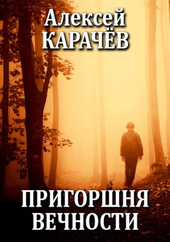 Обложка книги Пригоршня вечности