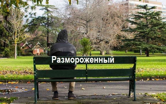 Обложка книги Размороженный