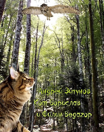Обложка книги Кот Борислав и Филин Ведагор
