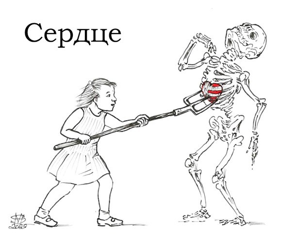 Обложка книги Сердце