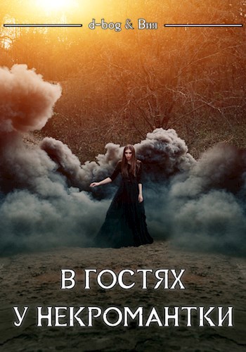Обложка книги В гостях у некромантки