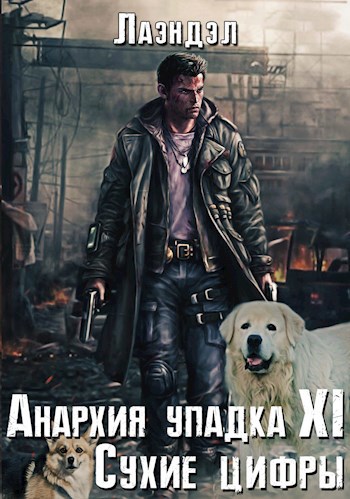 Обложка книги Анархия упадка 11. Сухие цифры