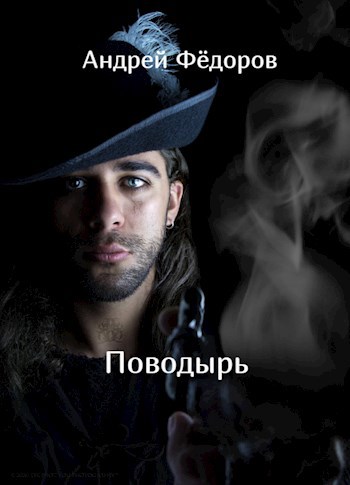 Обложка книги Поводырь