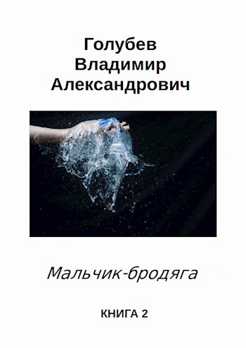 Обложка книги Мальчик-бродяга 2