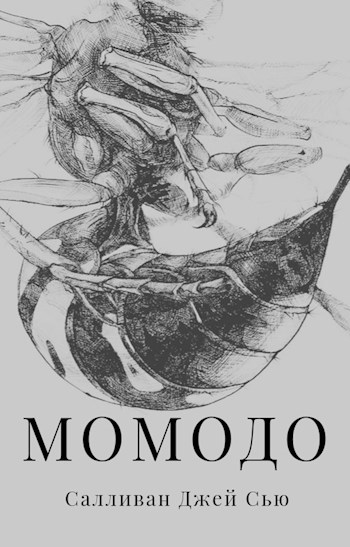 Обложка книги Момодо