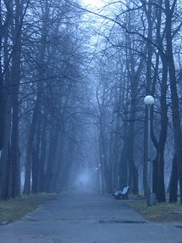 Обложка книги Сборник мыслей
