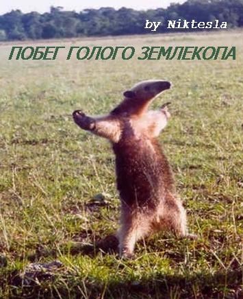 Обложка книги Побег голого землекопа