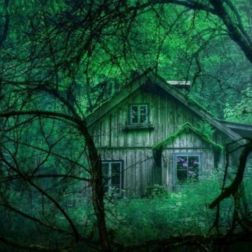 Обложка книги Домик у леса