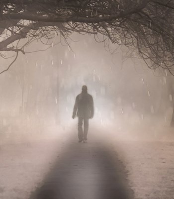Обложка книги Когда гаснет свет