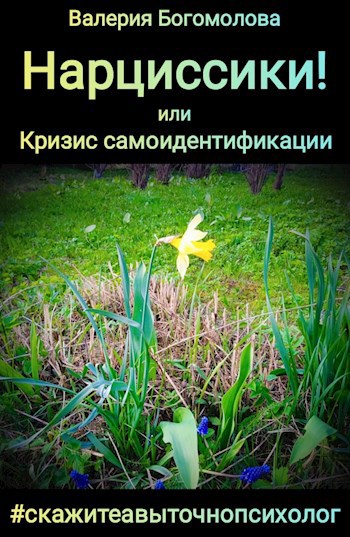 Обложка книги Нарциссики! или Кризис самоидентификации