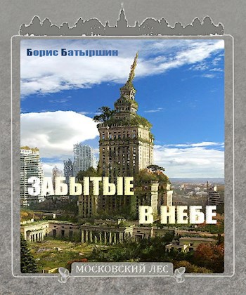 Обложка книги Московский Лес-3. "Забытые в небе"