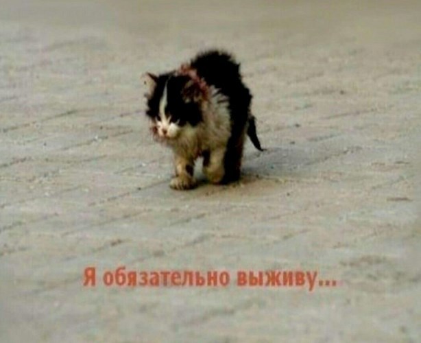 Обложка книги Экстендо