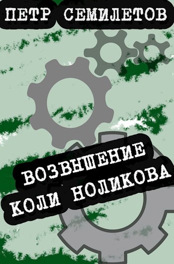 Обложка книги Возвышение Коли Ноликова