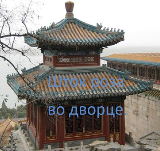 Обложка книги Шток роза во дворце...