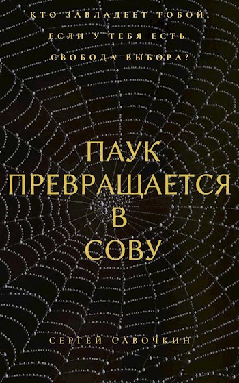 Обложка книги Паук превращается в сову