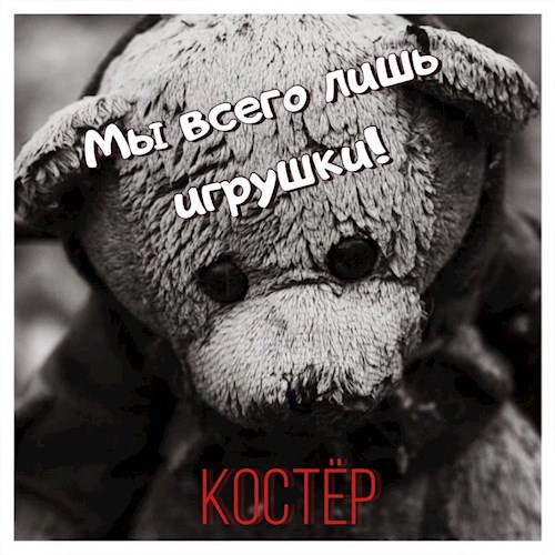 Обложка книги Мы всего лишь игрушки
