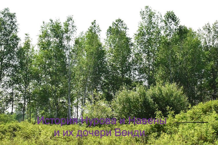Обложка книги История Нурова и Новены, их дочери Венди... И одной волшебной флейте ...