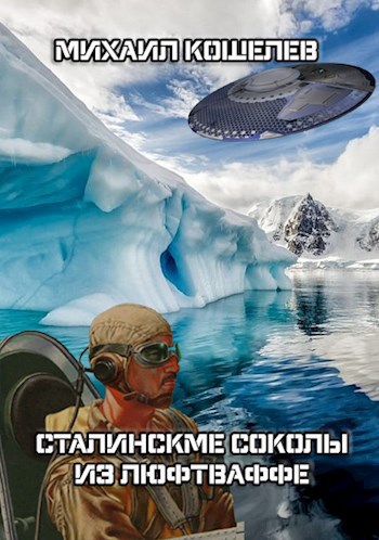 Обложка книги Сталинские соколы из Люфтваффе