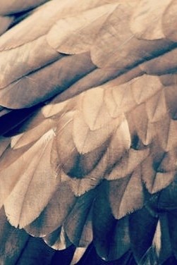 Обложка книги Я УБИЛА ЕГО