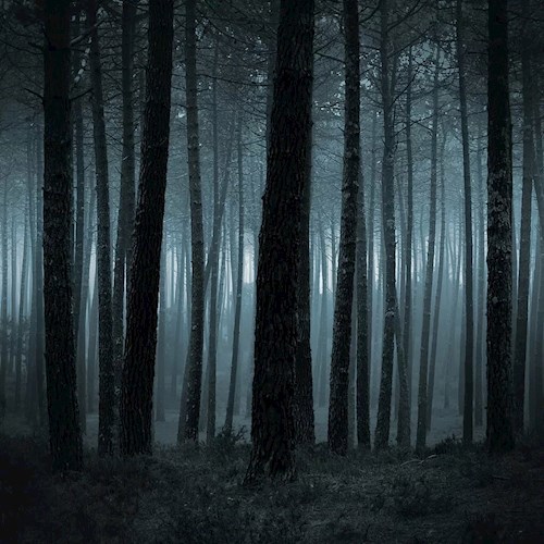 Обложка книги Сказки на ночь