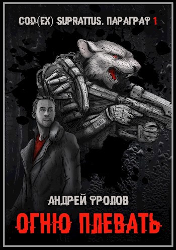 Обложка книги Огню плевать (Ланс Скичира 1)