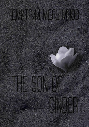 Обложка книги The son of cinder