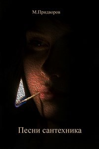 Обложка книги Песни сантехника