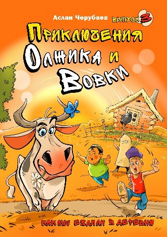 Обложка книги Как мы ездили в деревню