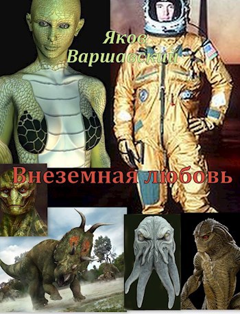 Обложка книги Внеземная любовь