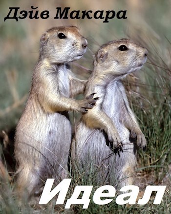 Обложка книги Идеал
