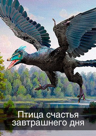 Обложка книги Птица счастья затрашнего дня
