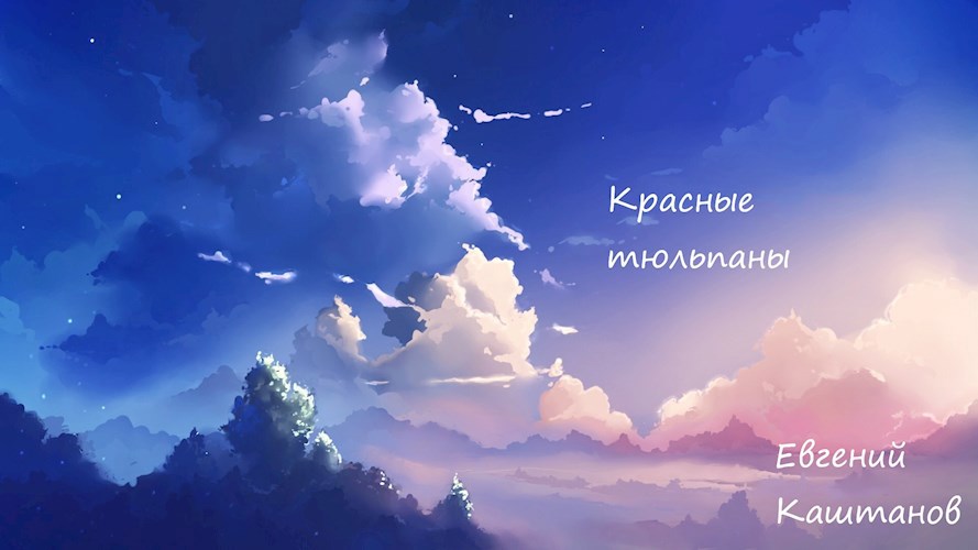 Обложка книги Красные тюльпаны
