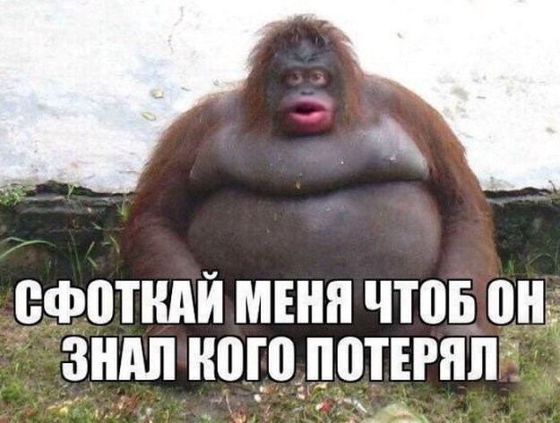 Обложка книги 20 перлов-ахренизмов (юмор)