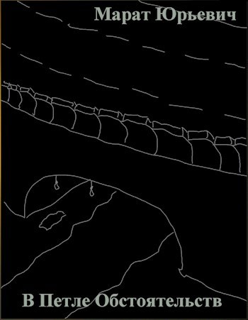 Обложка книги В петле обстоятельств