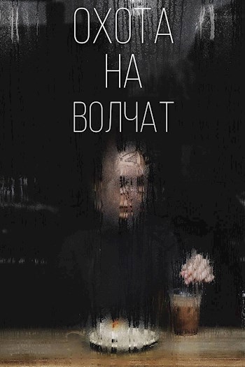 Обложка книги Охота на волчат