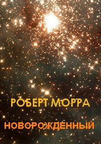 Обложка книги Новорожденный