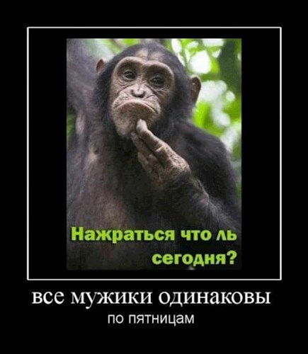 Обложка книги Писательские ляпы-пёрлы