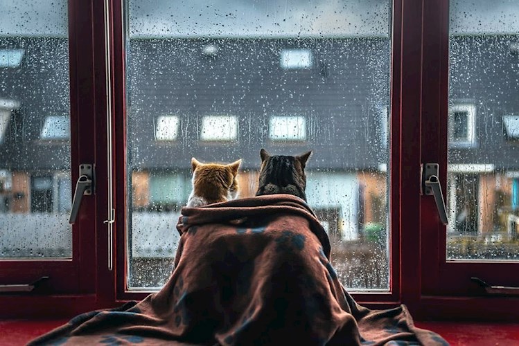 Обложка книги Сборник стихов о любви!