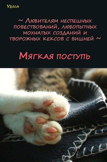Обложка книги Мягкая поступь