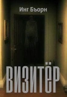 Обложка книги Визитёр