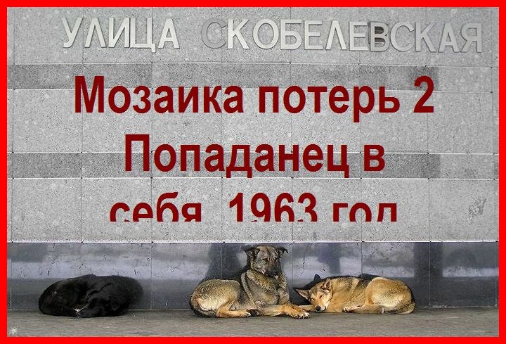 Обложка книги Мозаика потерь 2 Попаданец в себя, 1963 год